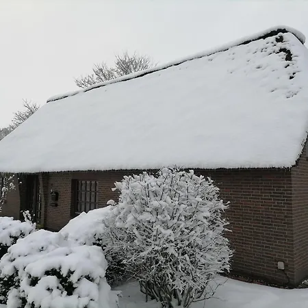 Reetdachhaus In Nordseenaehe Mit Grossem Garten *