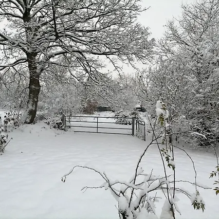 Holiday home Reetdachhaus In Nordseenaehe Mit Grossem Garten